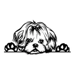 Adesivo Shih Tzu Shihtzu Cachorro Espiando Carro Moto