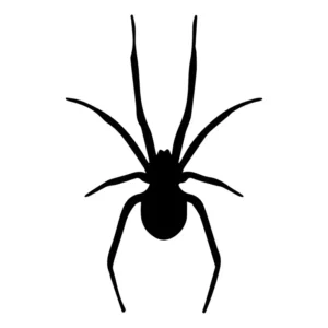 2 Adesivos Aranha Viuva Negra Premium Carro E Motos