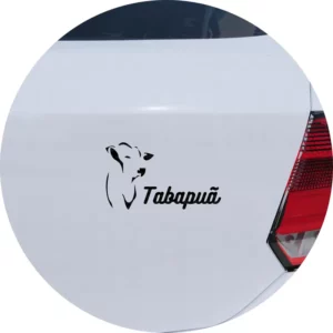 Adesivo De Carro Tabapuã Bovino Gado Agro