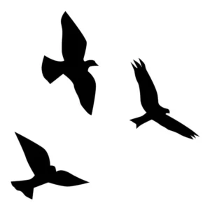Adesivos De Parede Ou Vidro 60 Pássaros 20 Cm Cor Preto