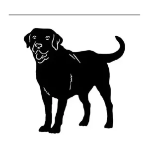 Adesivo Carro Cachorro Labrador