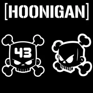 Kit 3 Adesivos Hoonigan Premium Para Carro Moto Note