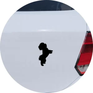 Adesivo Carro Moto Vidro Cachorro Raça Poodle Mini