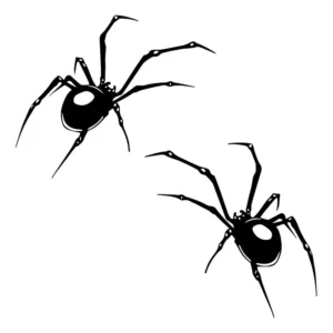 Adesivos Viuva Negra Tanque 10x16cm 2 Un