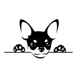 Adesivo Pinscher Espiando Para Carro Pet Moto, Not