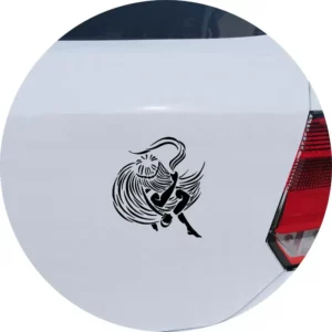 Adesivo De Carro Omulu Obaluaê Umbanda Candomblé