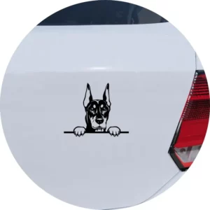 Adesivo De Carro Cachorro Dobermann Espiando