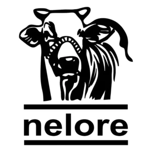 Adesivo Boi Nelore - Roça - Agro - Pecuaria - Boiadera