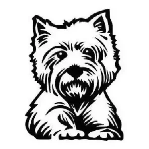 Adesivo Westie Terrier Cachorro Para Carro, Moto, Not