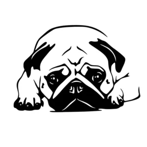Adesivo Pug Cachorro Pet Dog Para Carro, Moto, Not