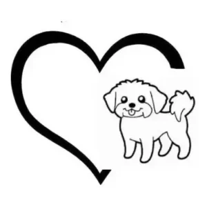 Adesivo Lhasa Pet Cachorro Carro Moto Not Dog Menino 11 X 10