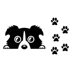 Adesivo Border Collie Cachorro 14x8cm +5 Patinhas Carro Moto